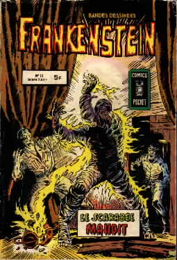 Frankenstein N15